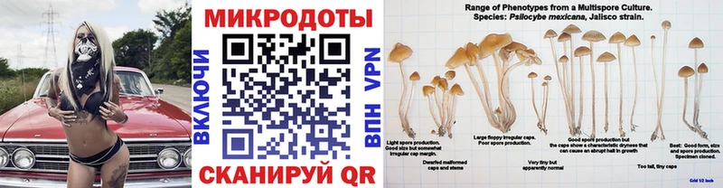 Псилоцибиновые грибы GOLDEN TEACHER  Тбилисская 